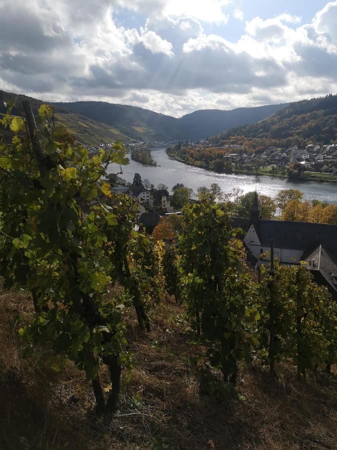 Ferienhaus Zur Weinfee Briedel Eksteriør billede