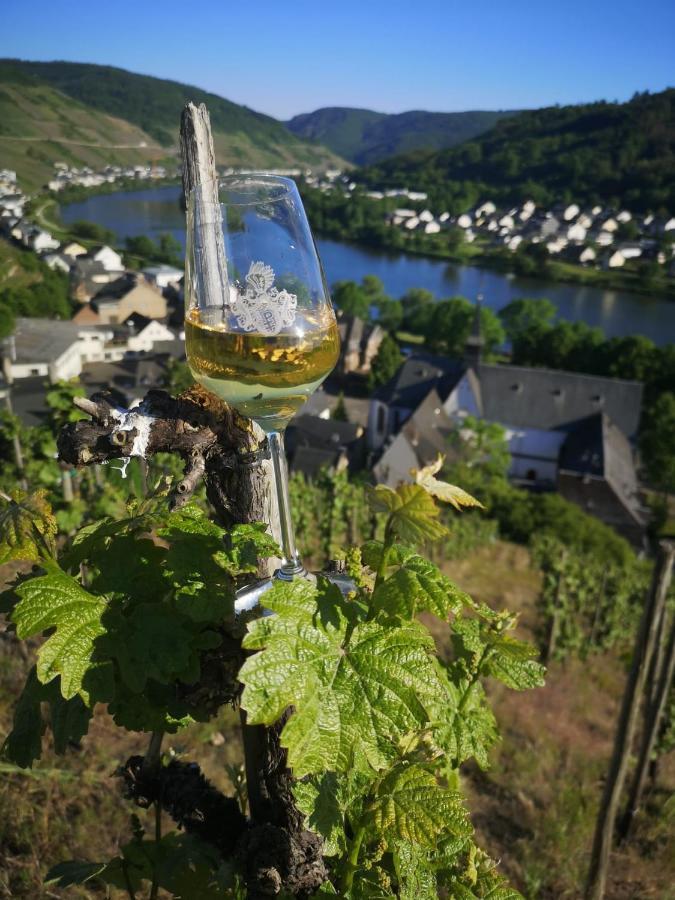 Ferienhaus Zur Weinfee Briedel Eksteriør billede