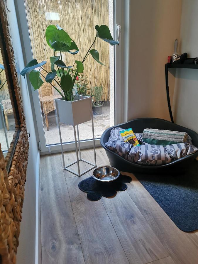 Ferienhaus Zur Weinfee Briedel Eksteriør billede